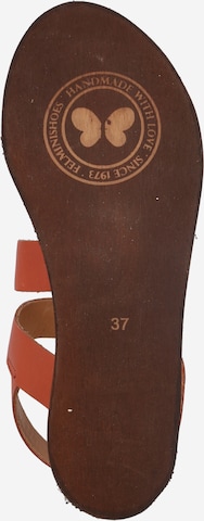 FELMINI Sandals 'Carolina' in Brown