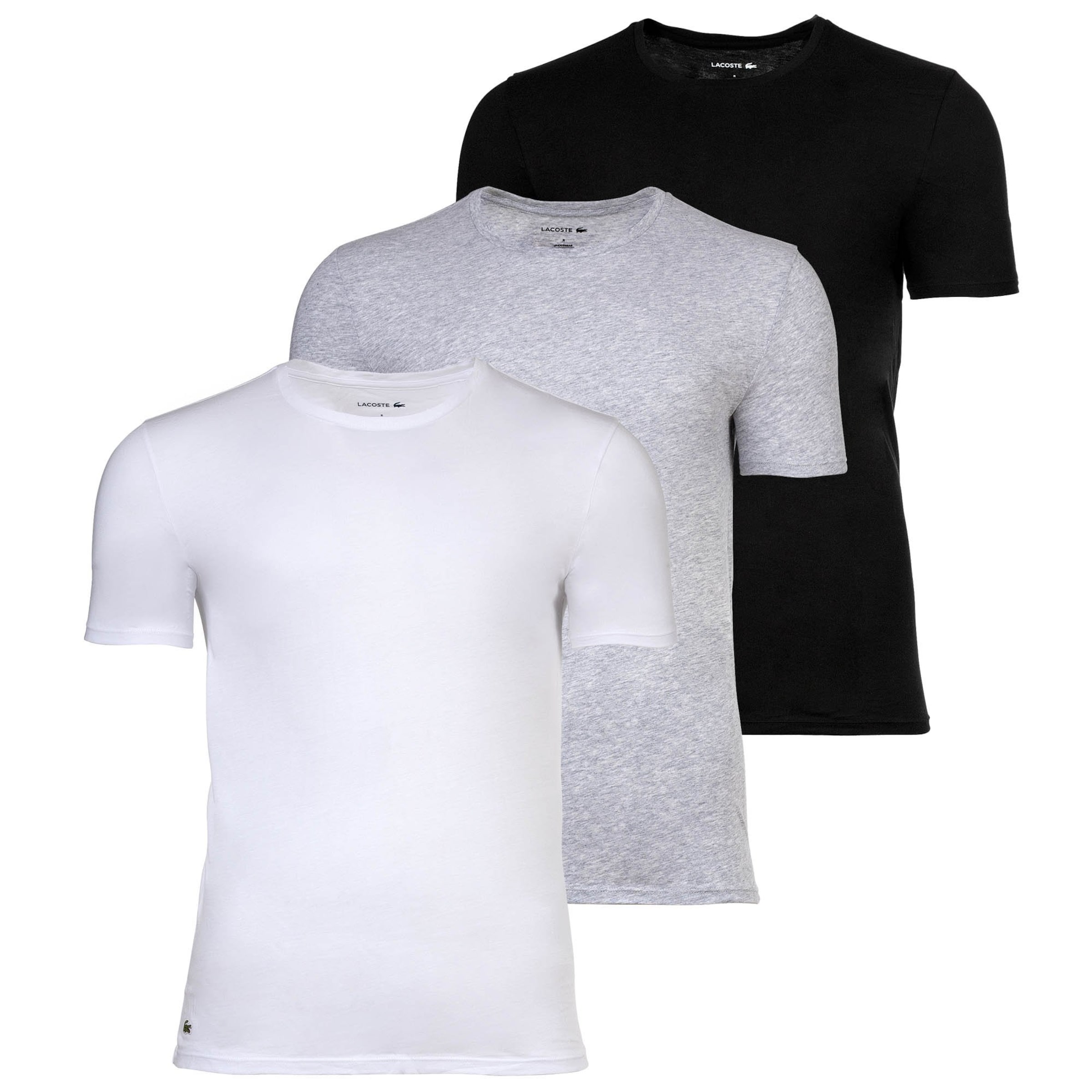 LACOSTE Bluser & t-shirts i grå: forside