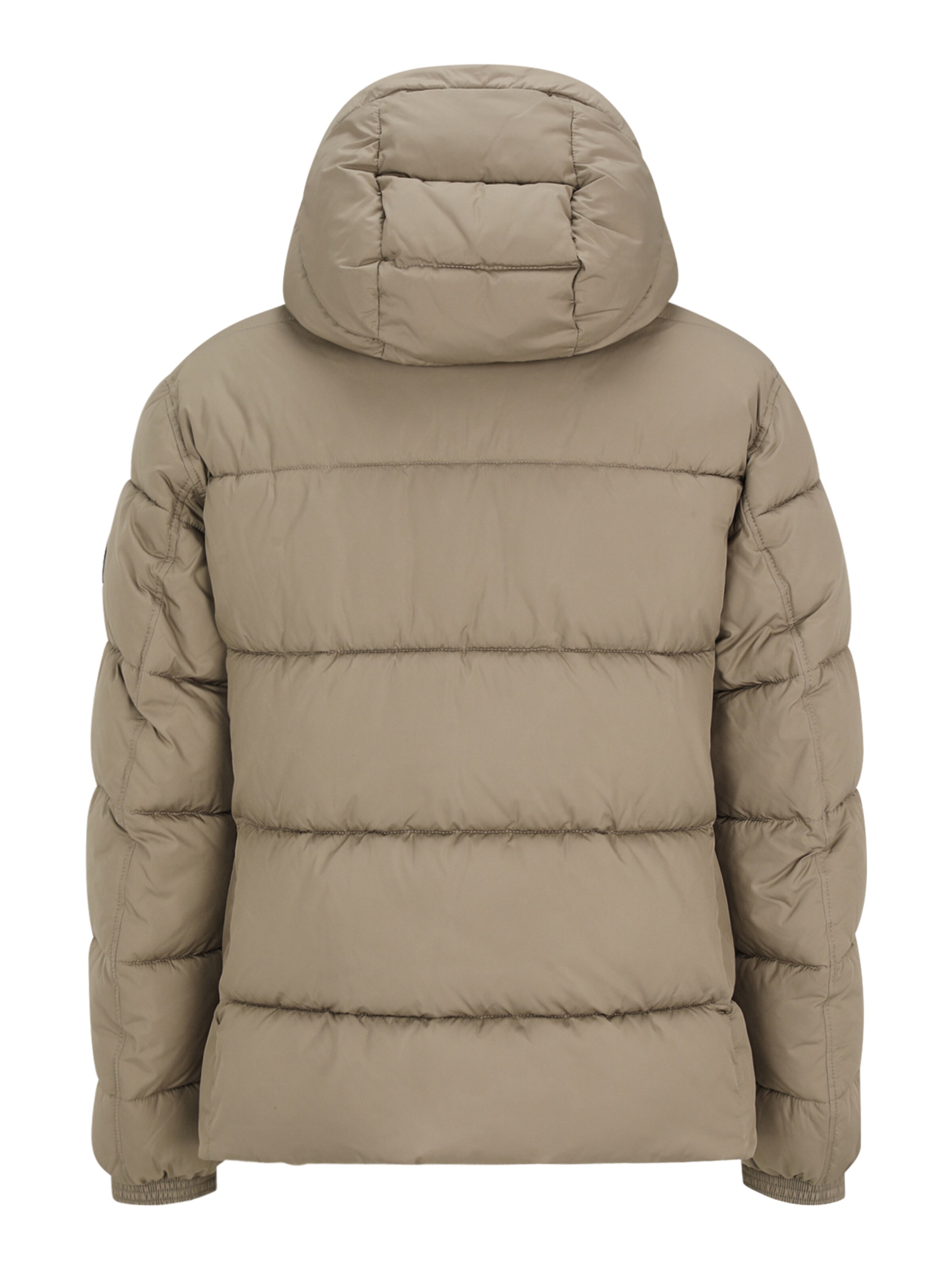 BOSS Vinterjacka 'Omaris' i grön