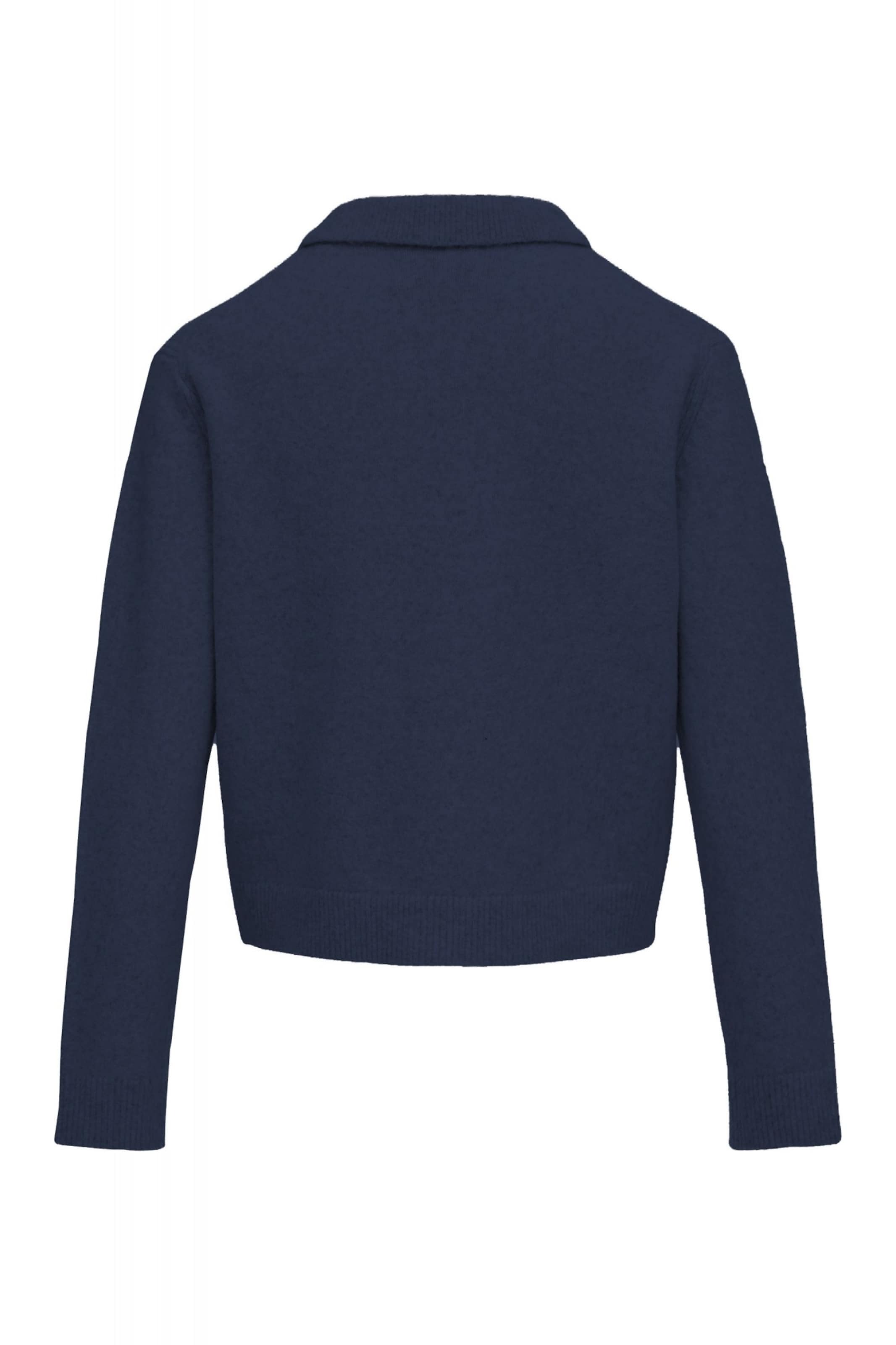 Salsa Jeans Trui in Blauw