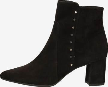 PETER KAISER Booties in Black