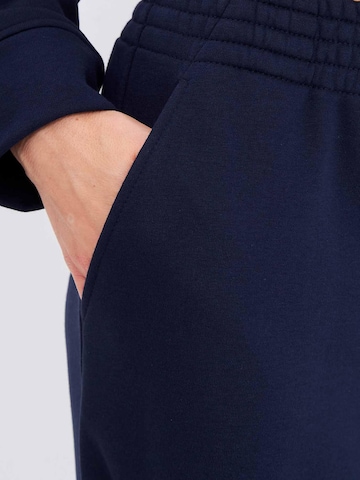 Cat e Lolette Regular Pants 'Palazzo' in Blue