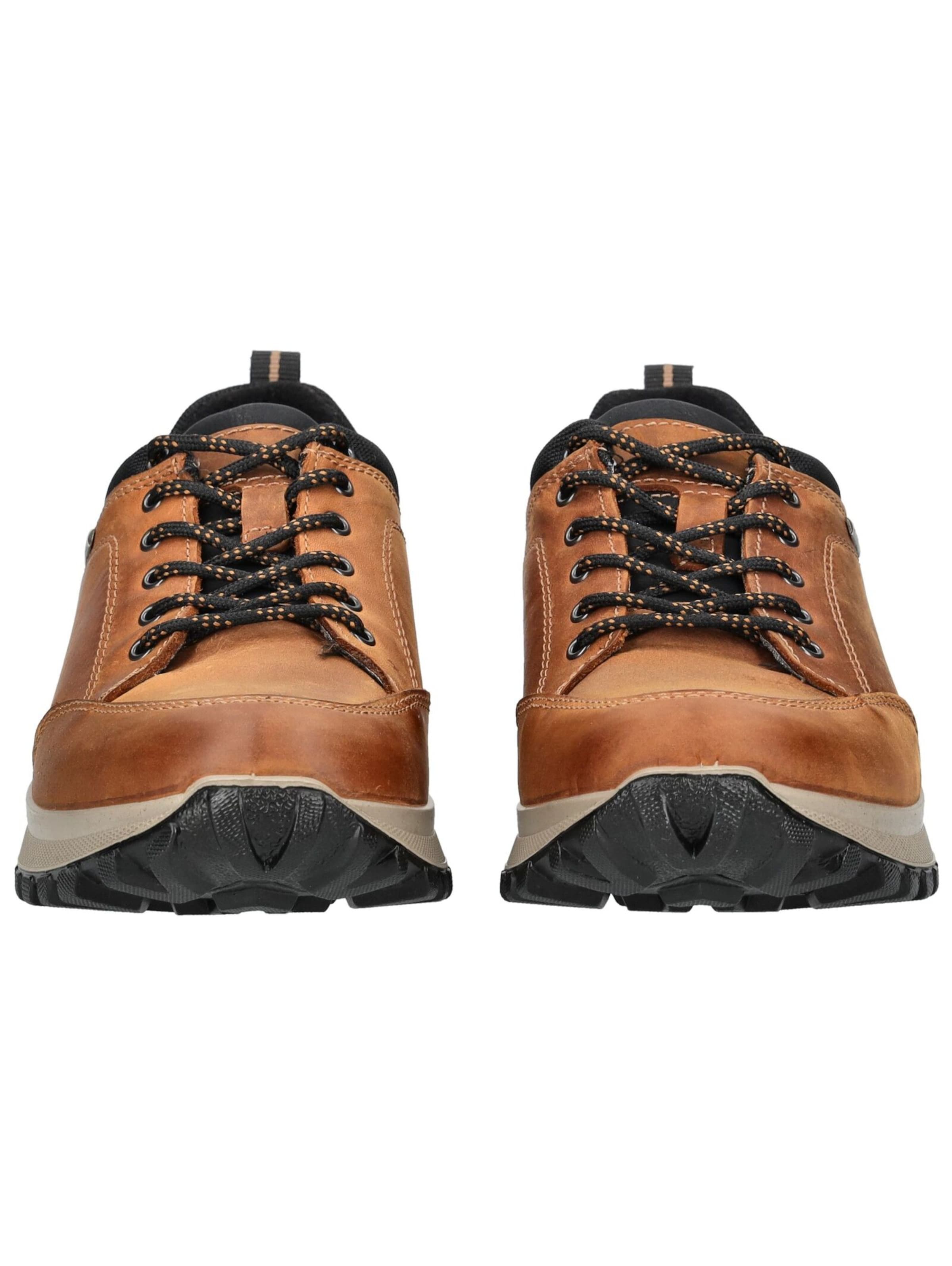 IMAC Platform trainers in Brown