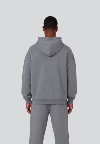 Colucci Sweatshirt 'College' in Grey