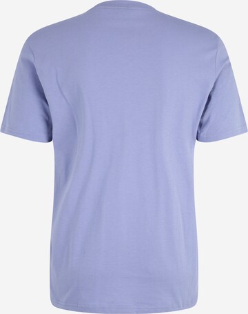 OAKLEY Funkční tričko 'Mountains' – fialová
