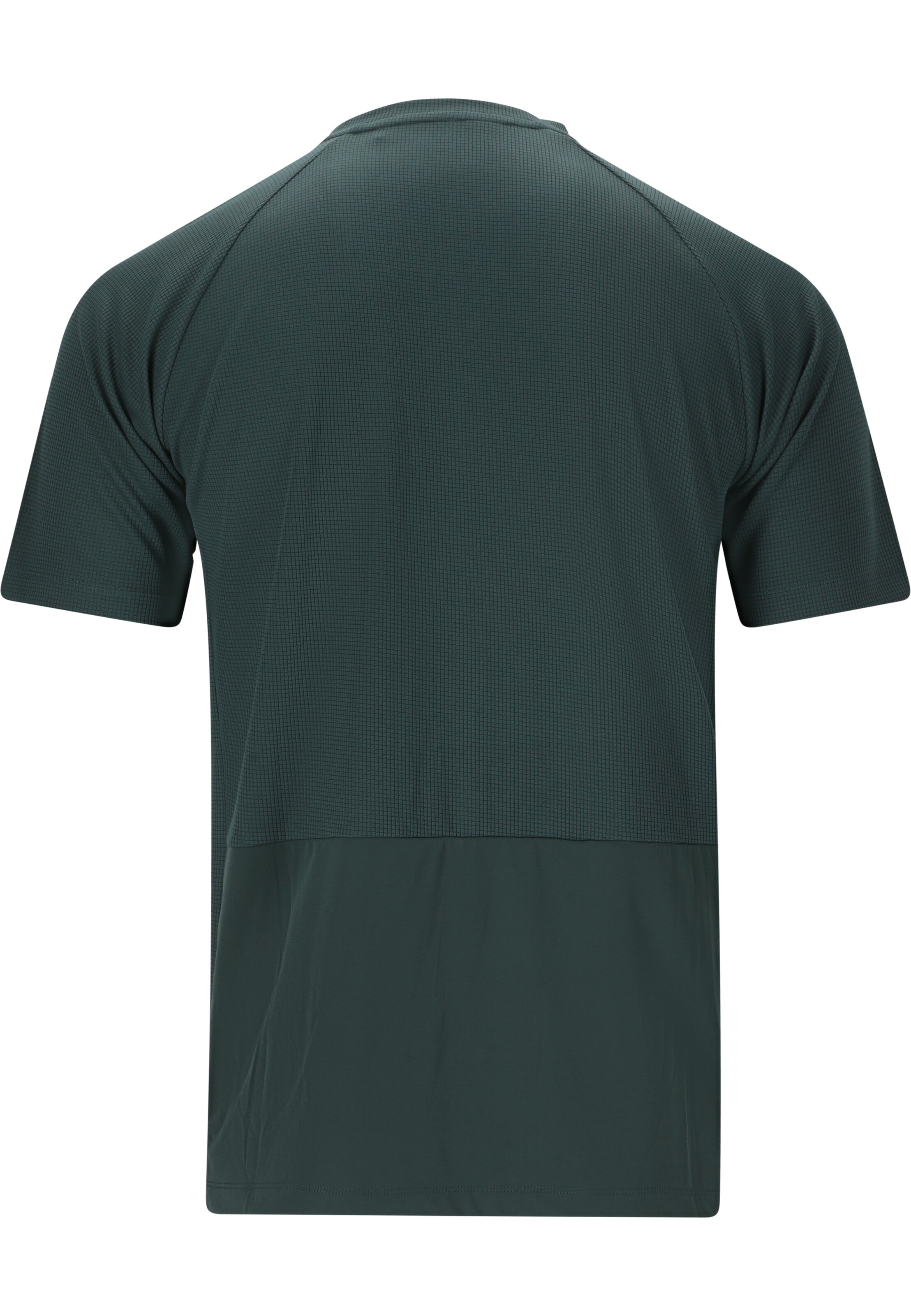 ENDURANCE Functioneel shirt 'Elang' in Groen