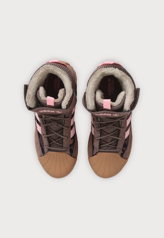 ADIDAS ORIGINALS Ketsid 'SUPERSTAR', värv pruun