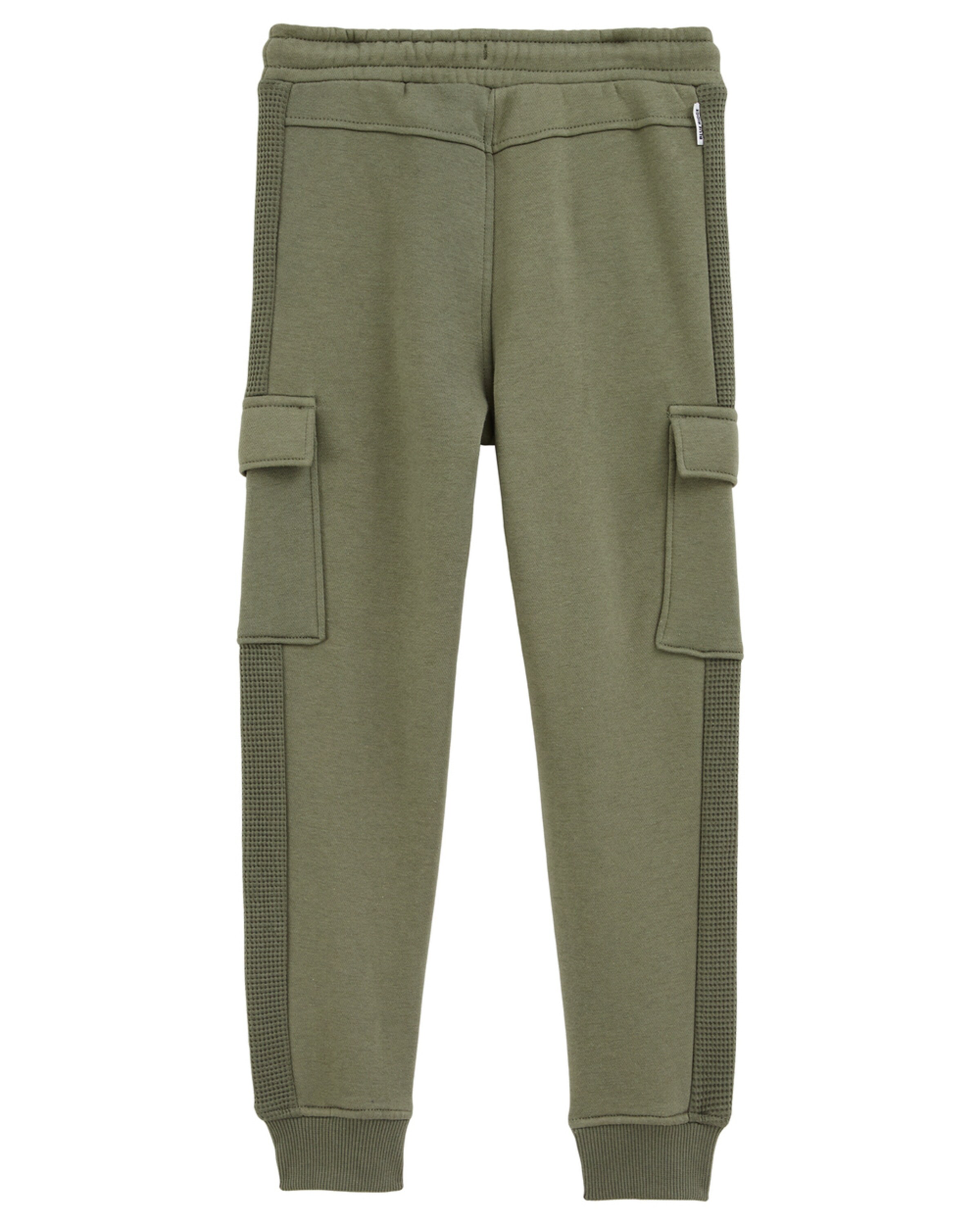 WE Fashion Конический (Tapered) Штаны в Зеленый