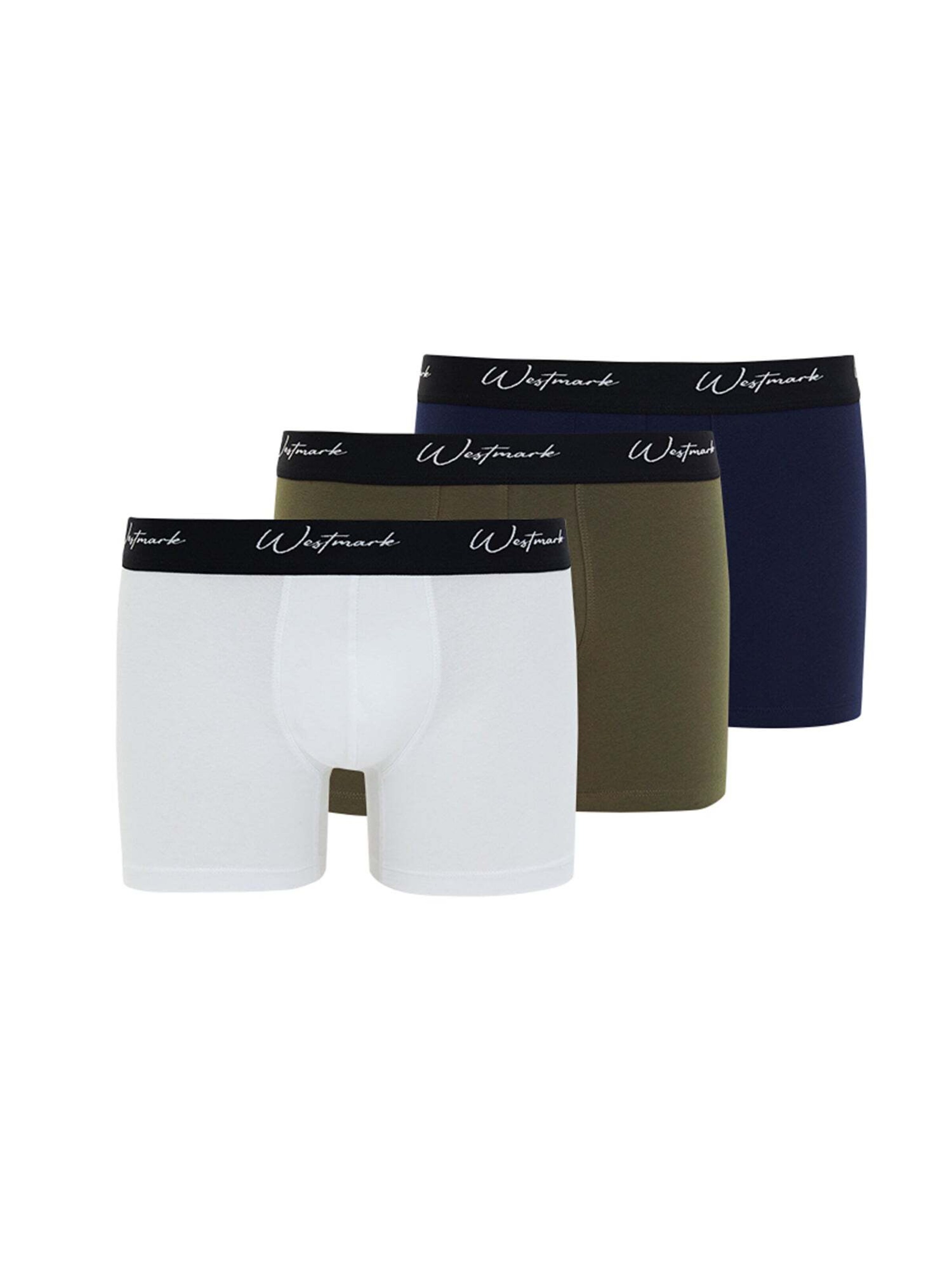 WESTMARK LONDON Boxershorts 'Lucas' in Blauw: voorkant