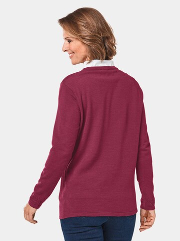 Goldner Knit Cardigan in Red