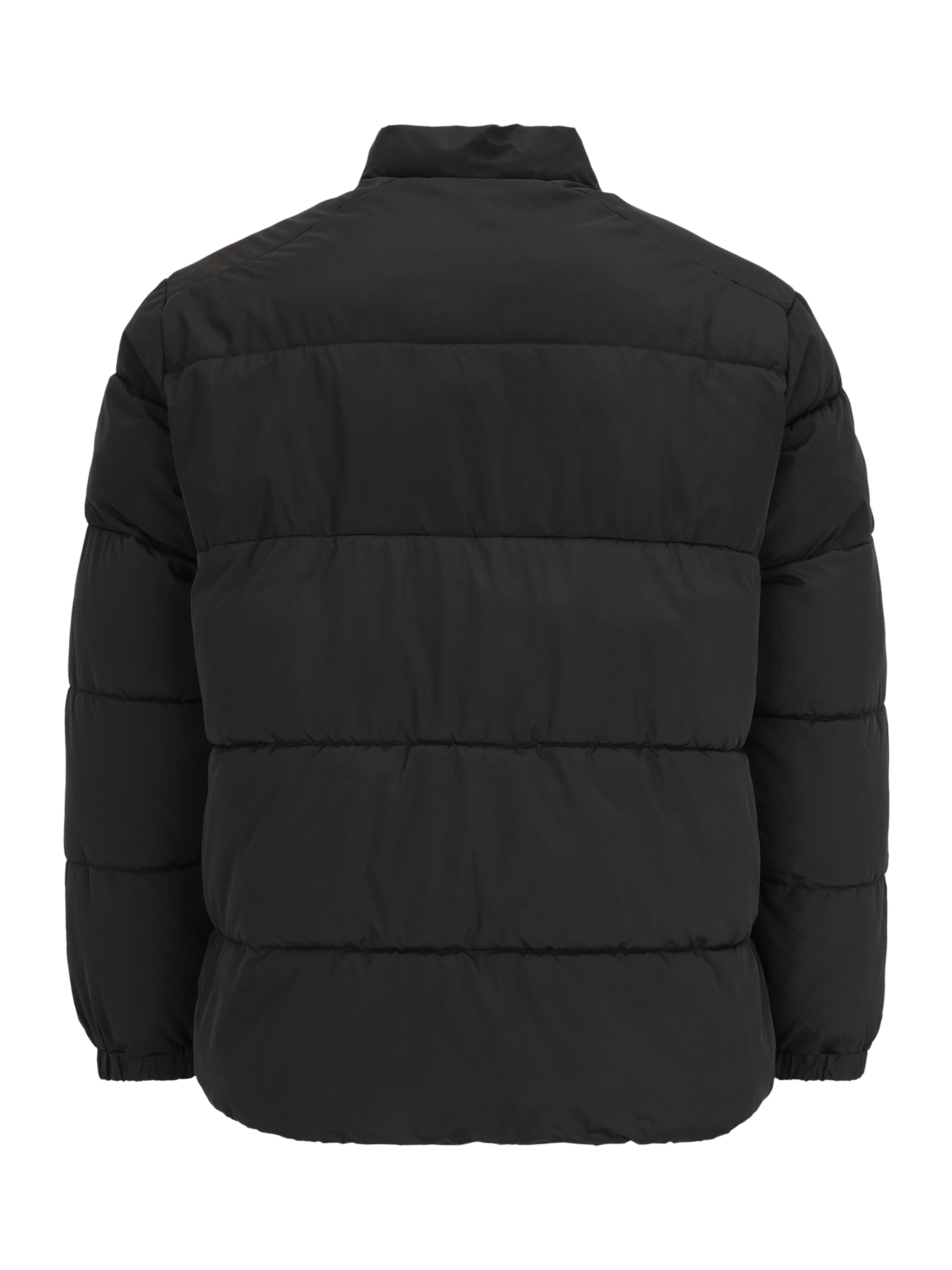 Jack & Jones Plus Winter Jacket 'JJMaze' in Black
