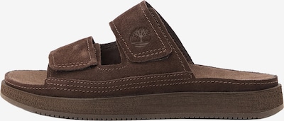 Šlepetės iš TIMBERLAND, spalva – tamsiai ruda, Prekių apžvalga