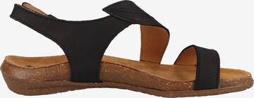 EL NATURALISTA Strap Sandals in Black