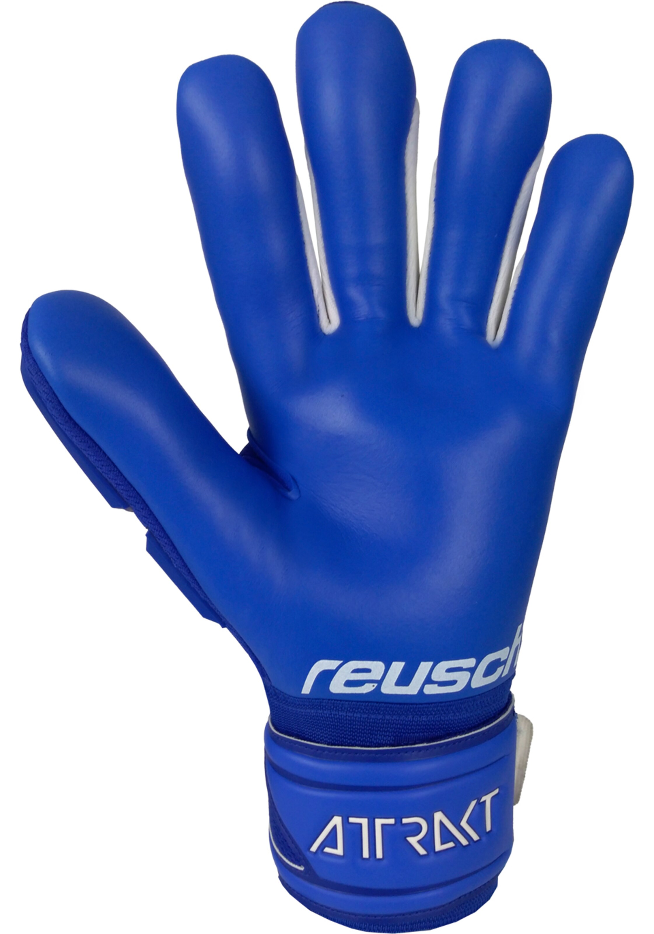 REUSCH Sporthandschoenen 'Attrakt Freegel' in Blauw
