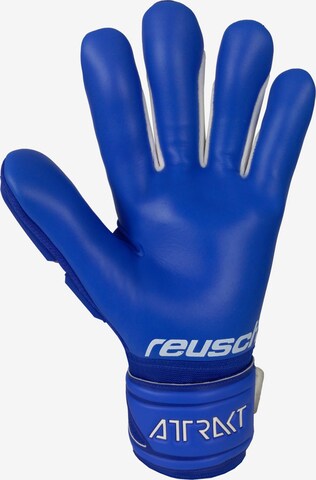 REUSCH Sporthandschoenen 'Attrakt Freegel' in Blauw