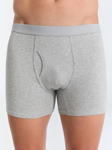 Albero Natur Boxer shorts in Grey