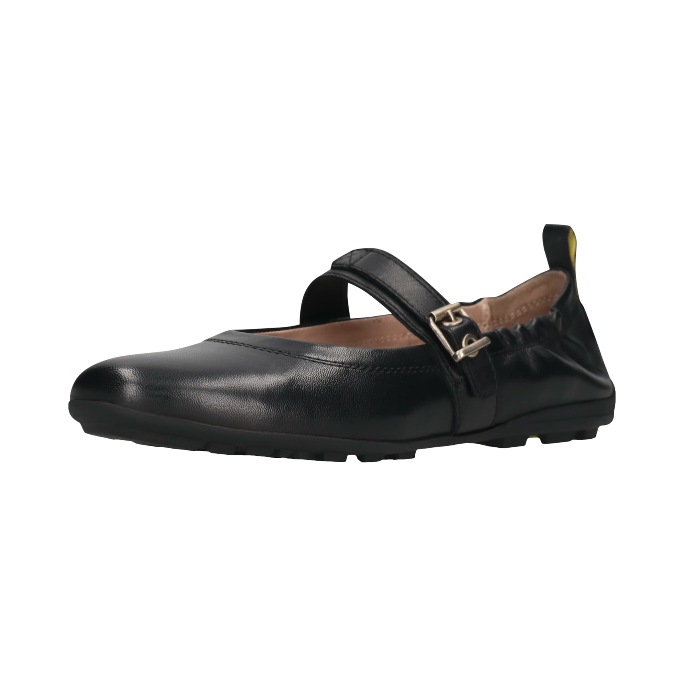 SALAMANDER Ballet Flats with Strap in Black: front