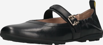 SALAMANDER Ballet Flats with Strap in Black: front