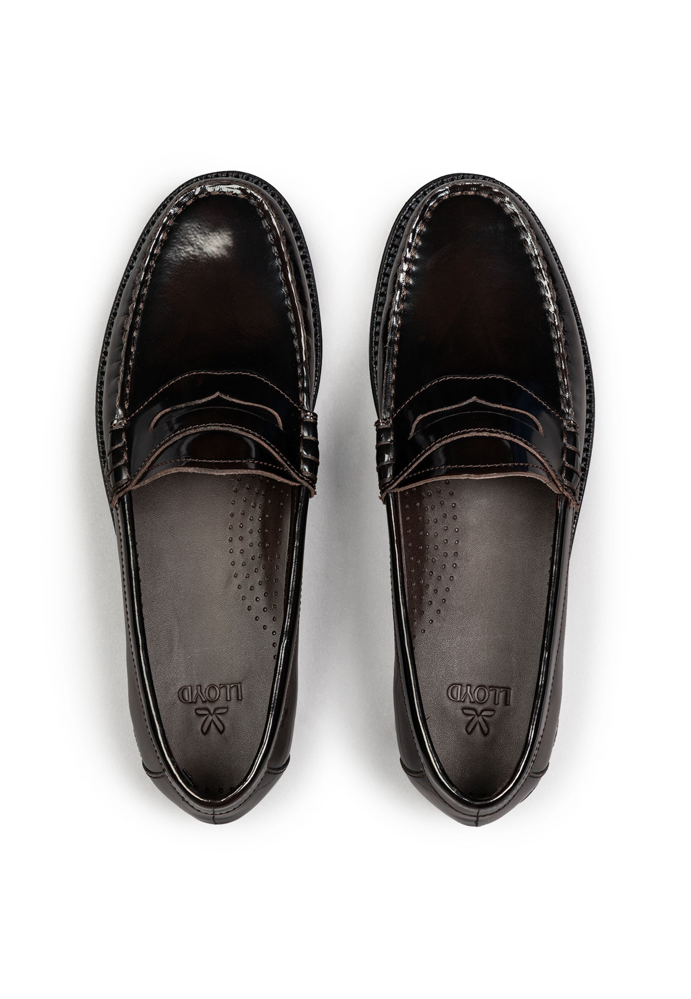 LLOYD Moccasins 'CLOUT MOVE' in Brown