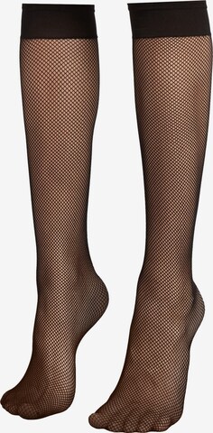 CALZEDONIA Knee High Socks in Black: front