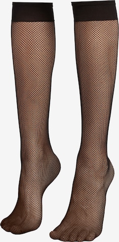 CALZEDONIA Knee High Socks in Black: front