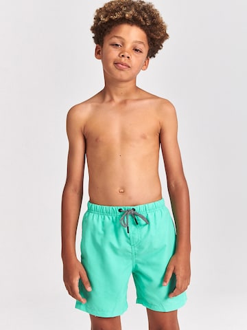 Shiwi Kratke kopalne hlače 'Magic Crab' | zelena barva: sprednja stran