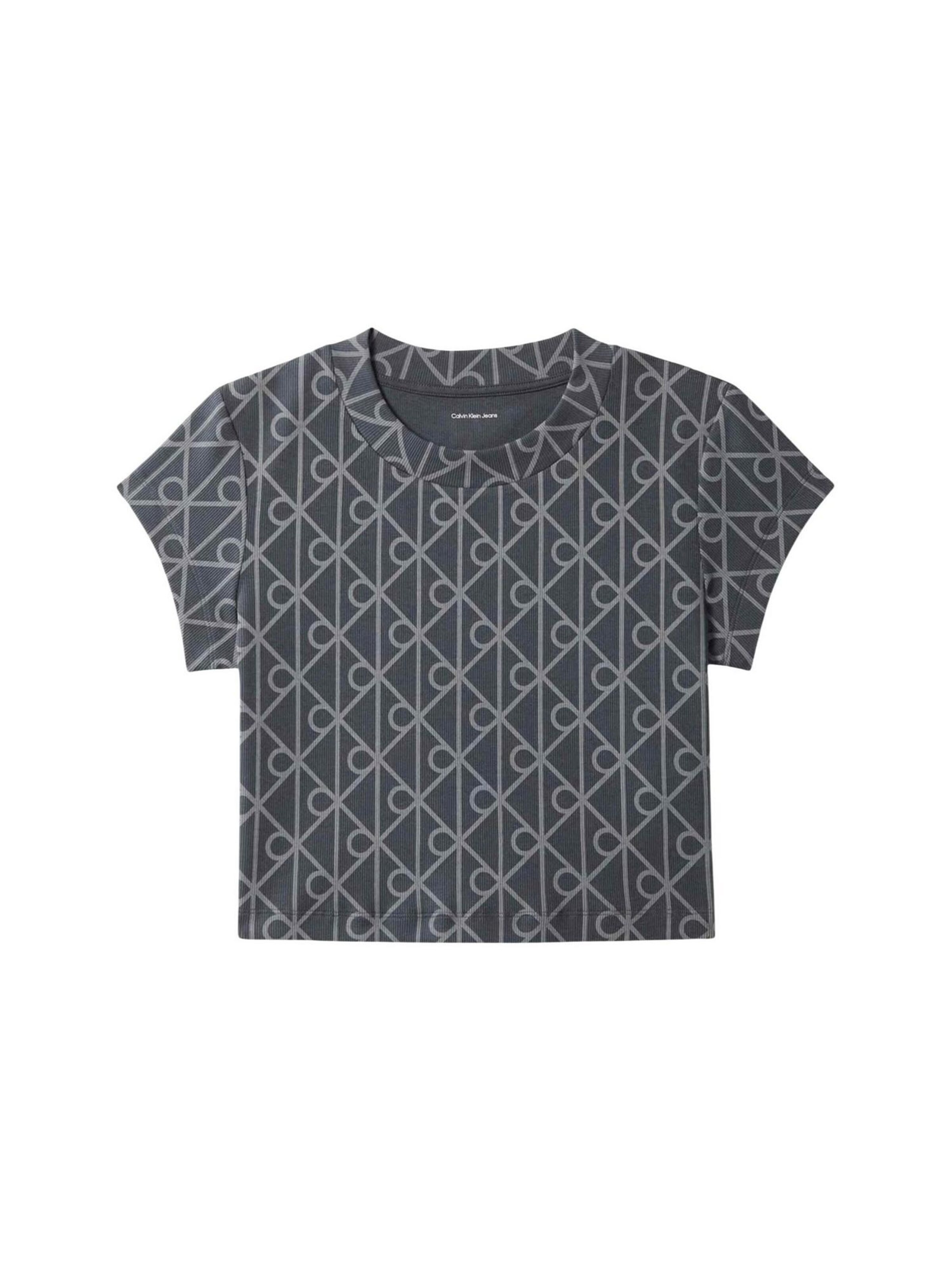 Maglietta 'LV047G830G' di Calvin Klein Jeans in grigio