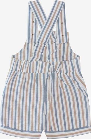 Kids Up Dungarees in Blue