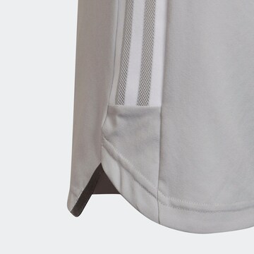 ADIDAS PERFORMANCE Regular Shorts in Grau