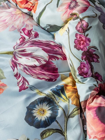 ESSENZA Bettwäsche 'Filou' in Blau