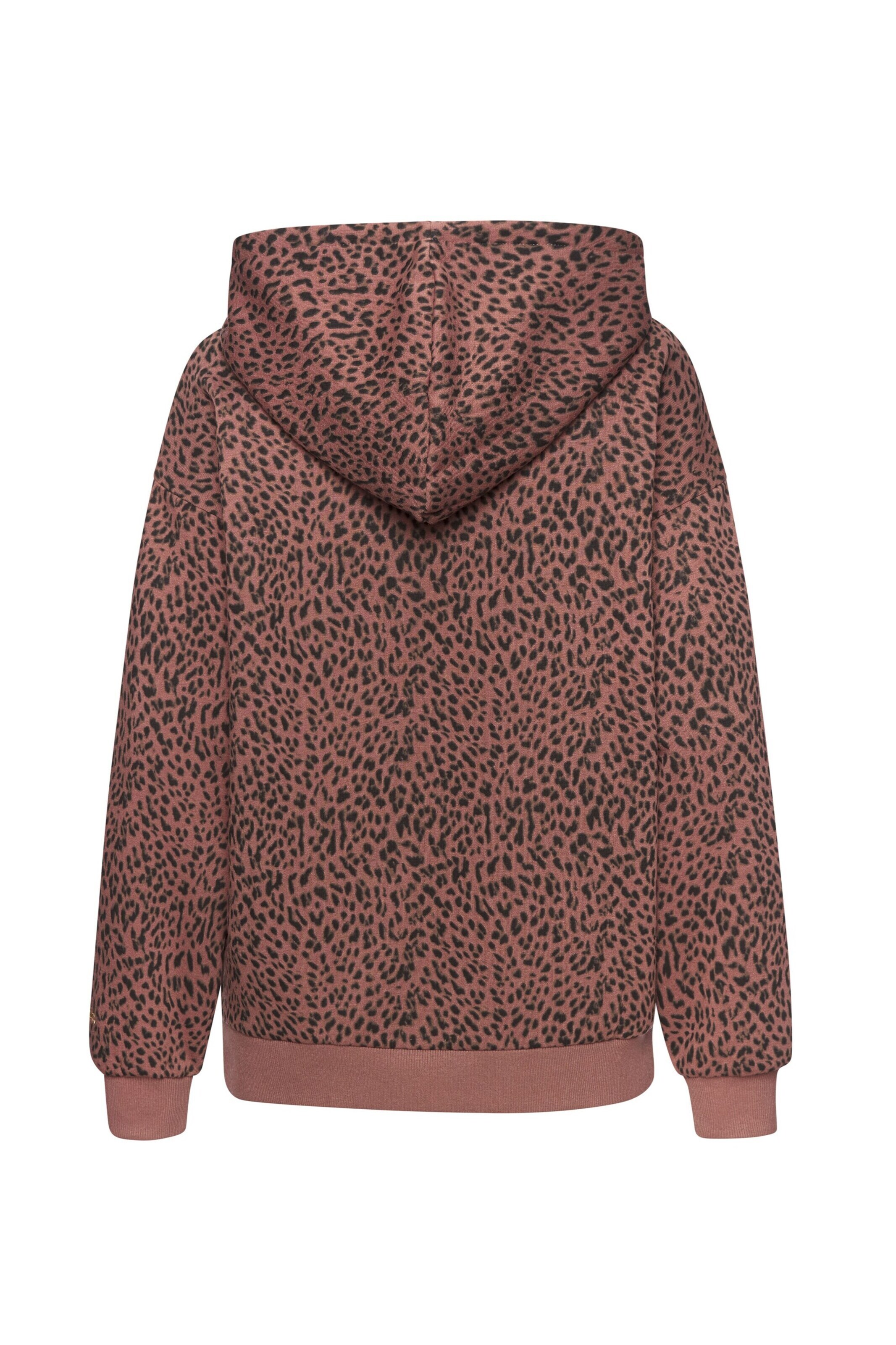 BUFFALO Sweatshirt in Brown