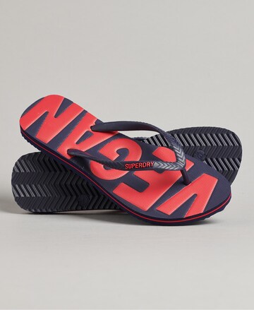 Superdry Teenslipper in Blauw