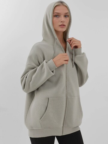 Hiccup Sweatjacke in Grau