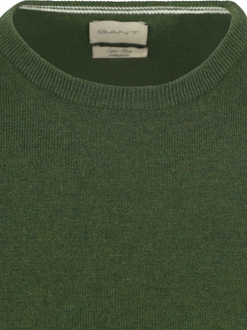 GANT Trui in Groen