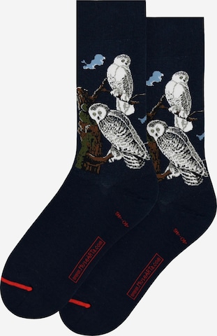 MuseARTa Socks ' John James Audubon - Snowy Owl ' in Black: front