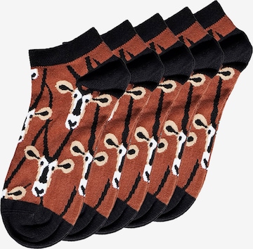UNABUX Socken in Braun: Vorderseite