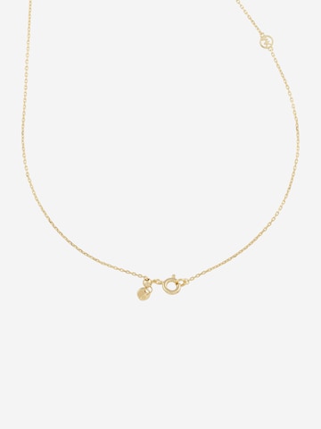 MICHAEL Michael Kors Necklace in Gold