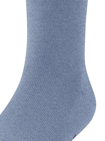 FALKE Socks 'Family' in Blue