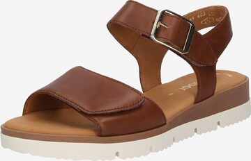 GABOR Strap Sandals in Brown: front