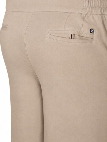 Suitable Regular Hose 'Jink' in Beige