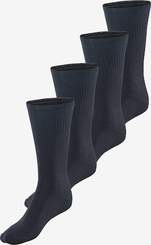 Chaussettes Blackspade en noir : devant
