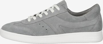 SANSIBAR Sneakers in Grey