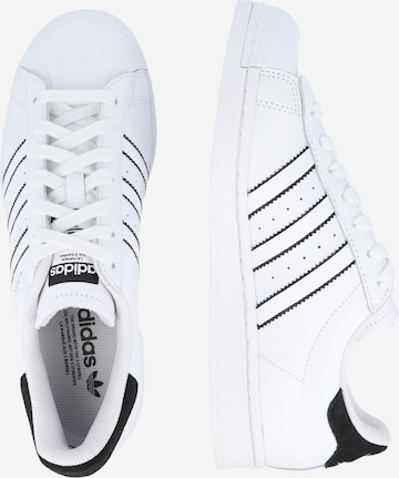 ADIDAS ORIGINALS - Sapatilhas baixas 'Superstar' em branco