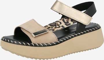 smėlio GABOR Basutės su dirželiais: priekis