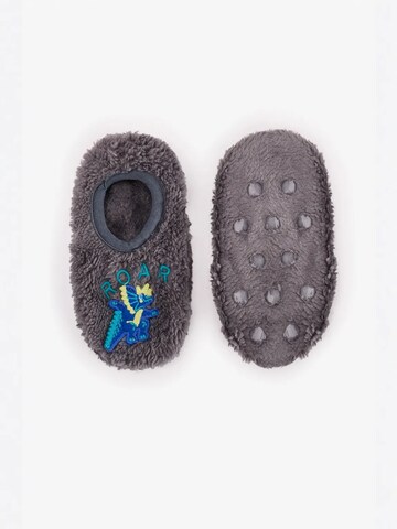 Chaussettes 'PENTI Jungen Roarsome Bootie-Hausschuhe' Penti en gris