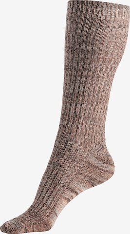 LASCANA Socks in Mixed colors