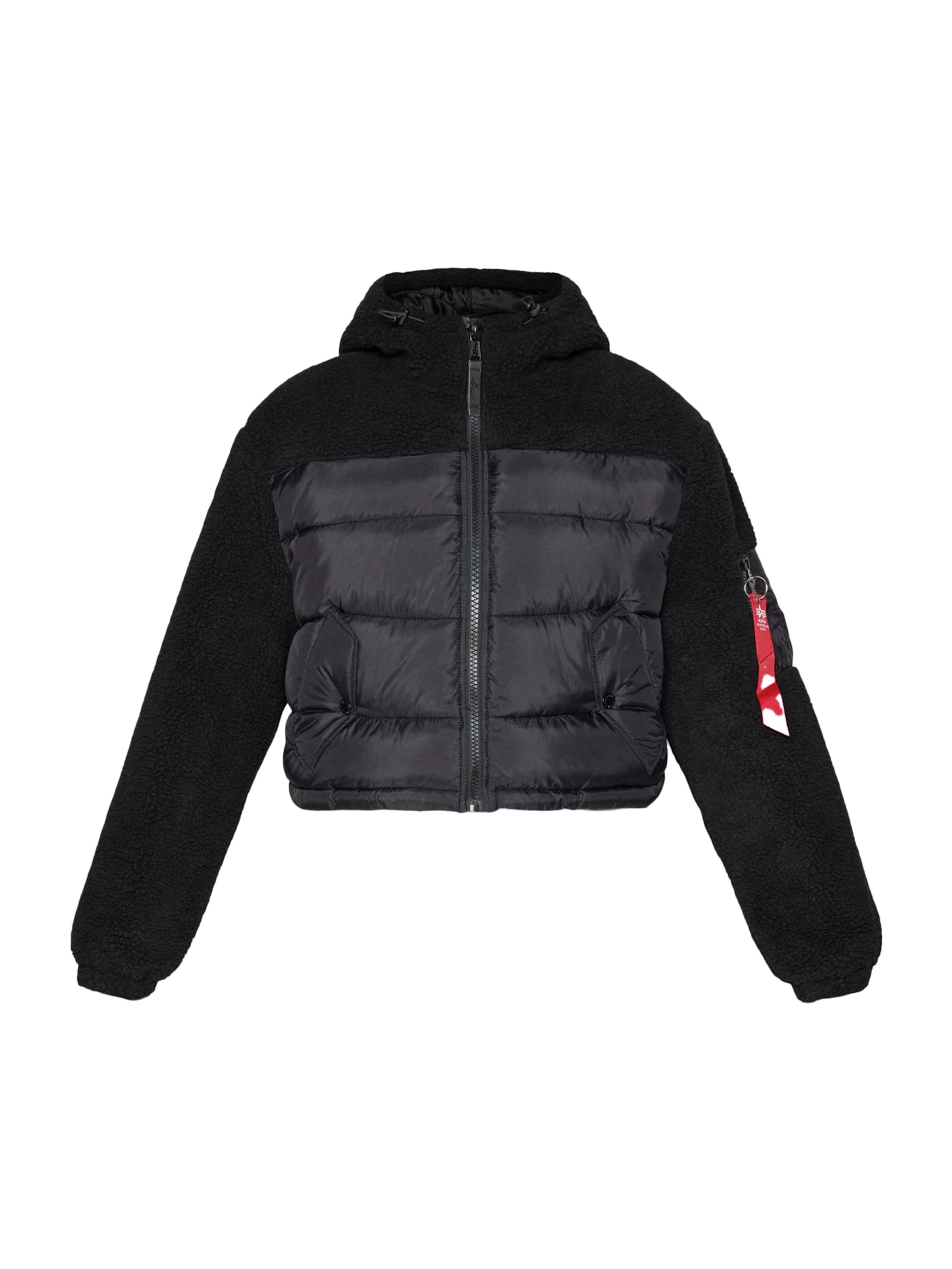 ALPHA INDUSTRIES Χειμερινό μπουφάν σε γκρι: μπροστά