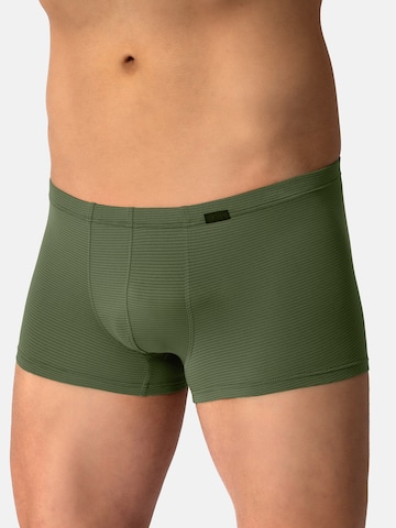 Olaf Benz Retro Pants ' RED2600 Minipants ' in Grün: Vorderseite