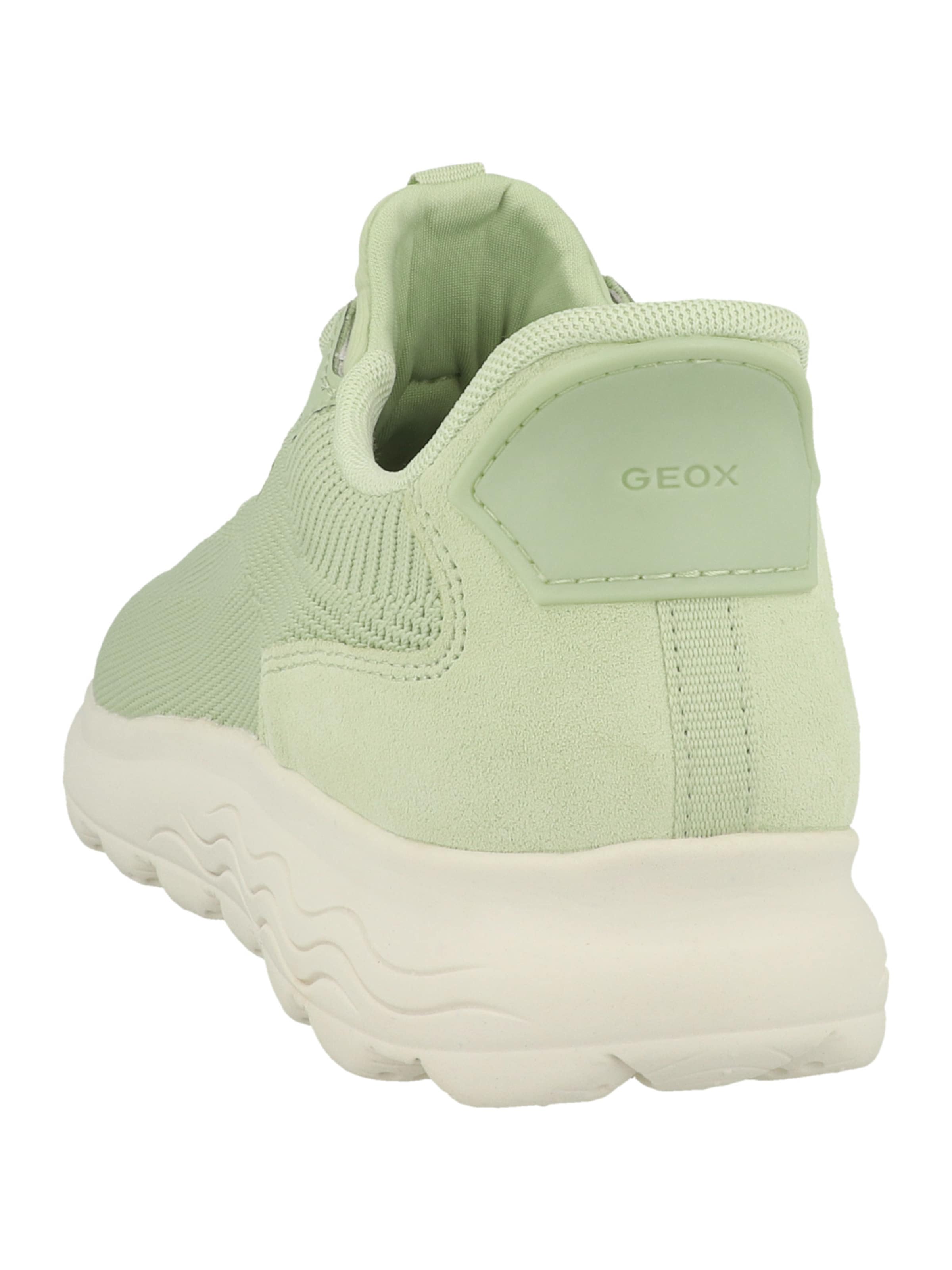 Baskets basses 'Spherica Plus A' GEOX en vert