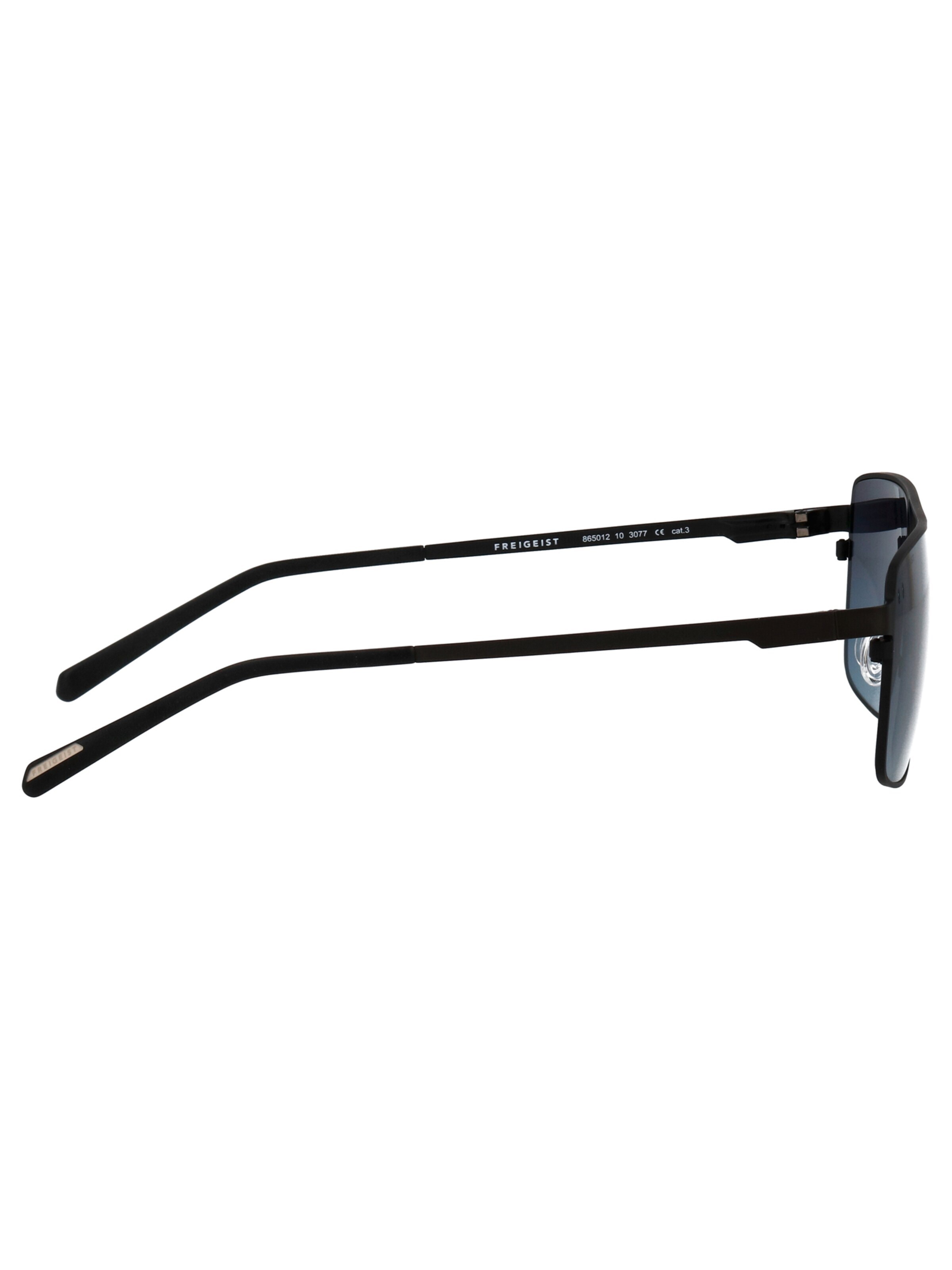FREIGEIST Sunglasses in Black